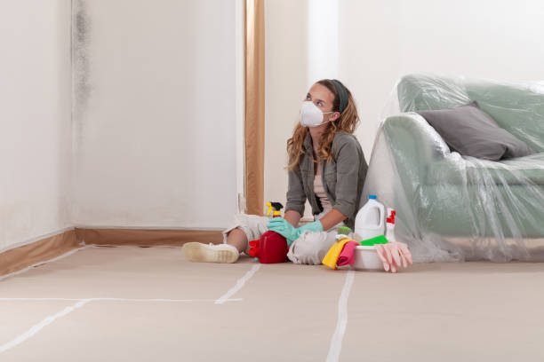 Trusted Black Mold Removal service in McBain, MI - Cheap Mold Removal